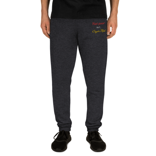 Fiat Rich but Crypto Poor - Relaxed fit, tapered leg joggers